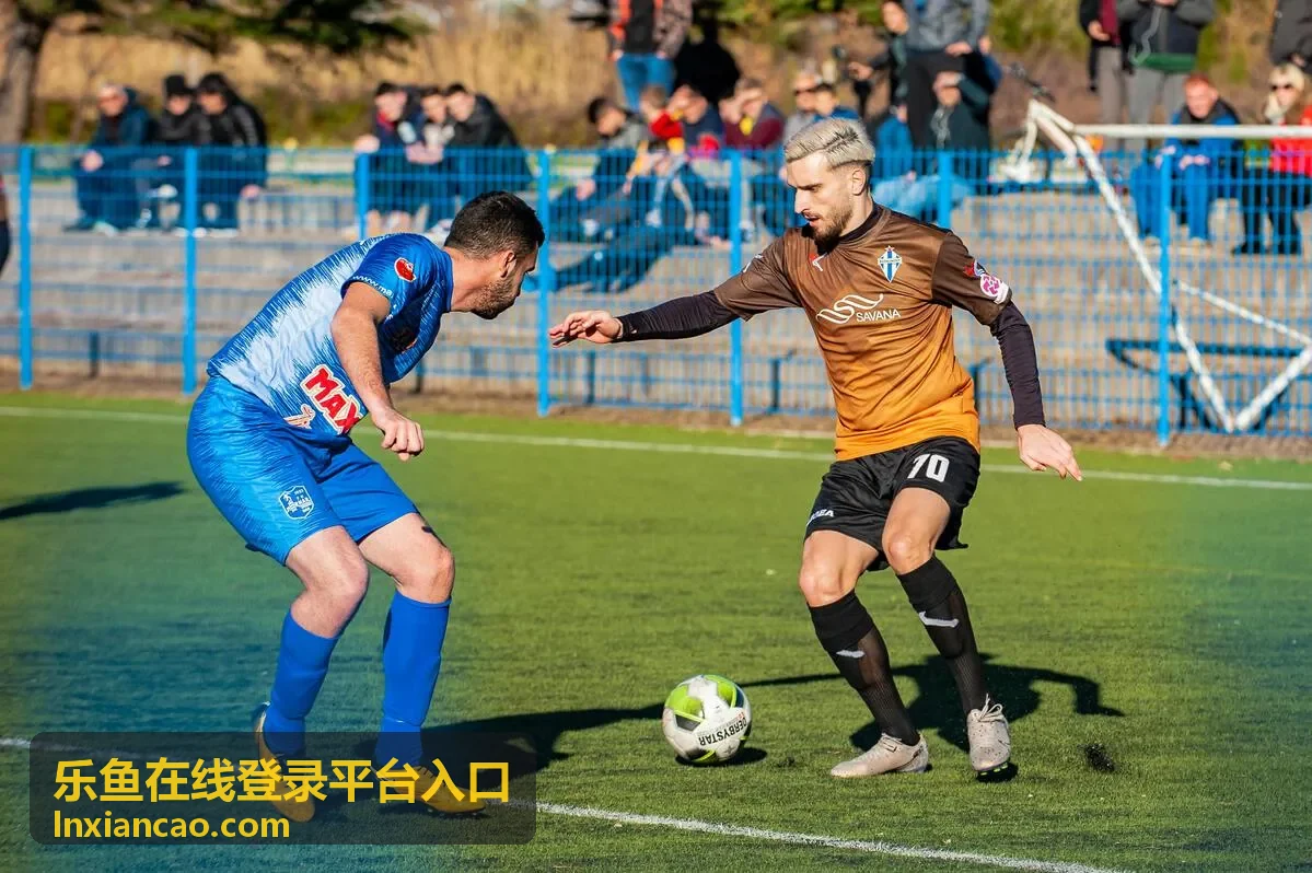乐鱼在线登录平台入口电脑端与手机端登录适配指引